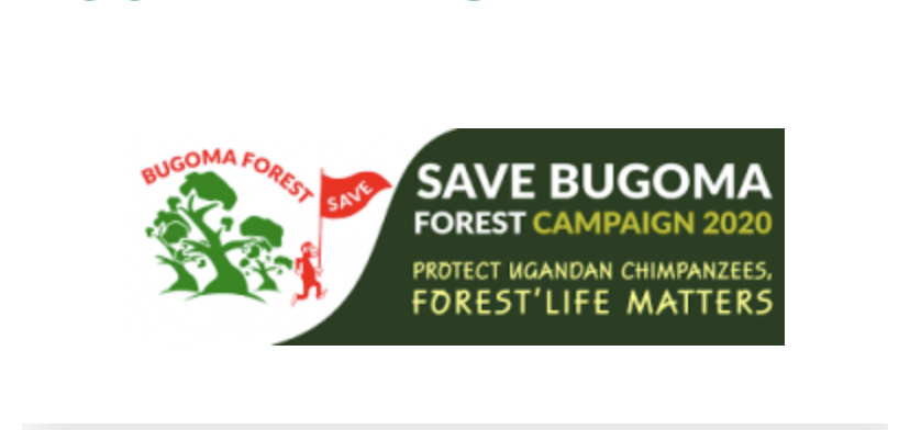 savebugoma